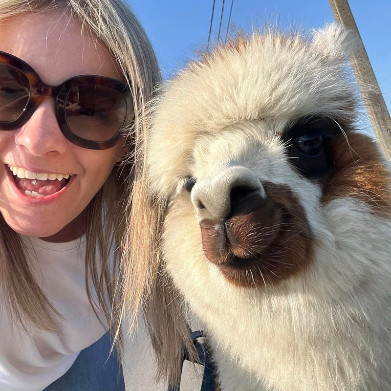 alpaca teambuilding staden