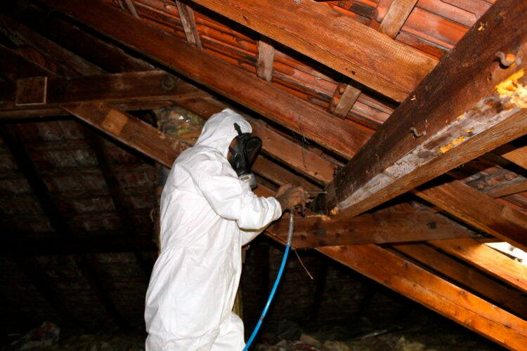 Traitement de charpente.