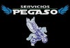 Pegaso