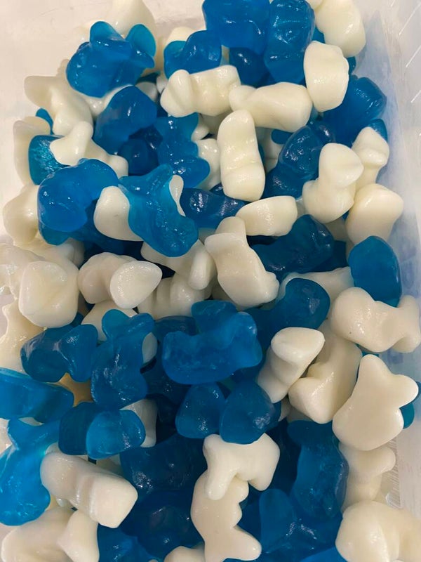 Blue & White Dolphins