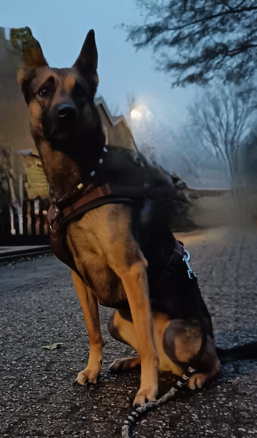 Zoë zit netjes in de blijf