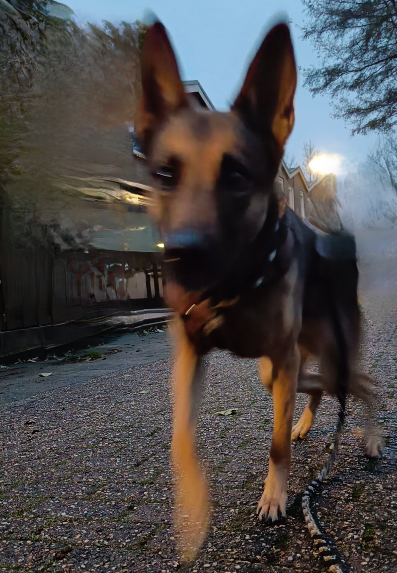 Zoë springt richting de camera