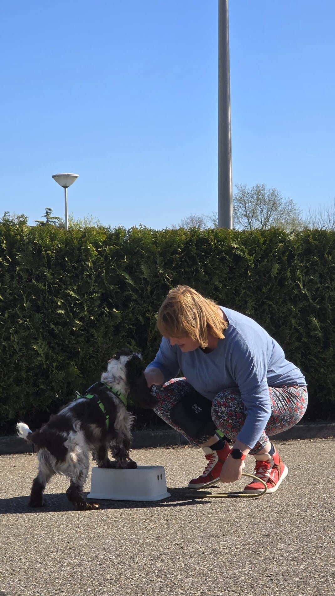 Interactie tussen hond en baasje terwijl hond met voorpootjes op een kriukje staat