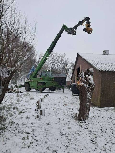 zaagkop-verreiker-achterhoek