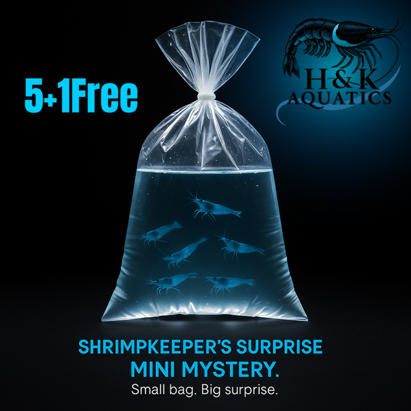 Shrimpkeepers Surprise Mini Bag of 5