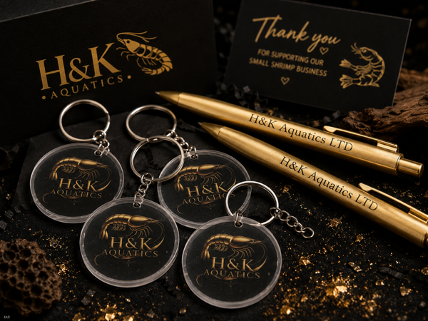H&K Merch