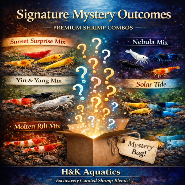 H&K Signature Selections - Mystery Box