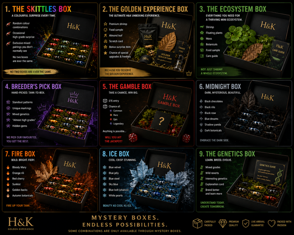 H&K Themes - Mystery Boxes