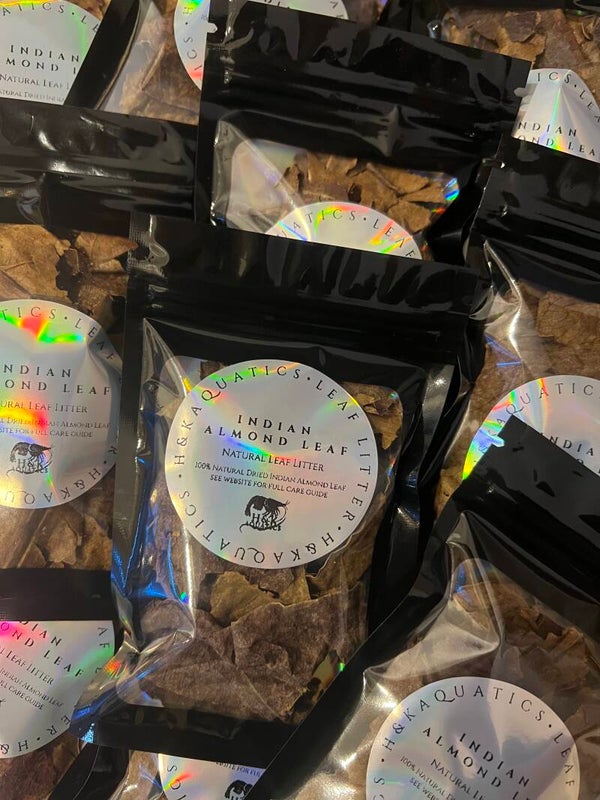 Indian Almond Leaf Litter (Torn Leaf Portion)