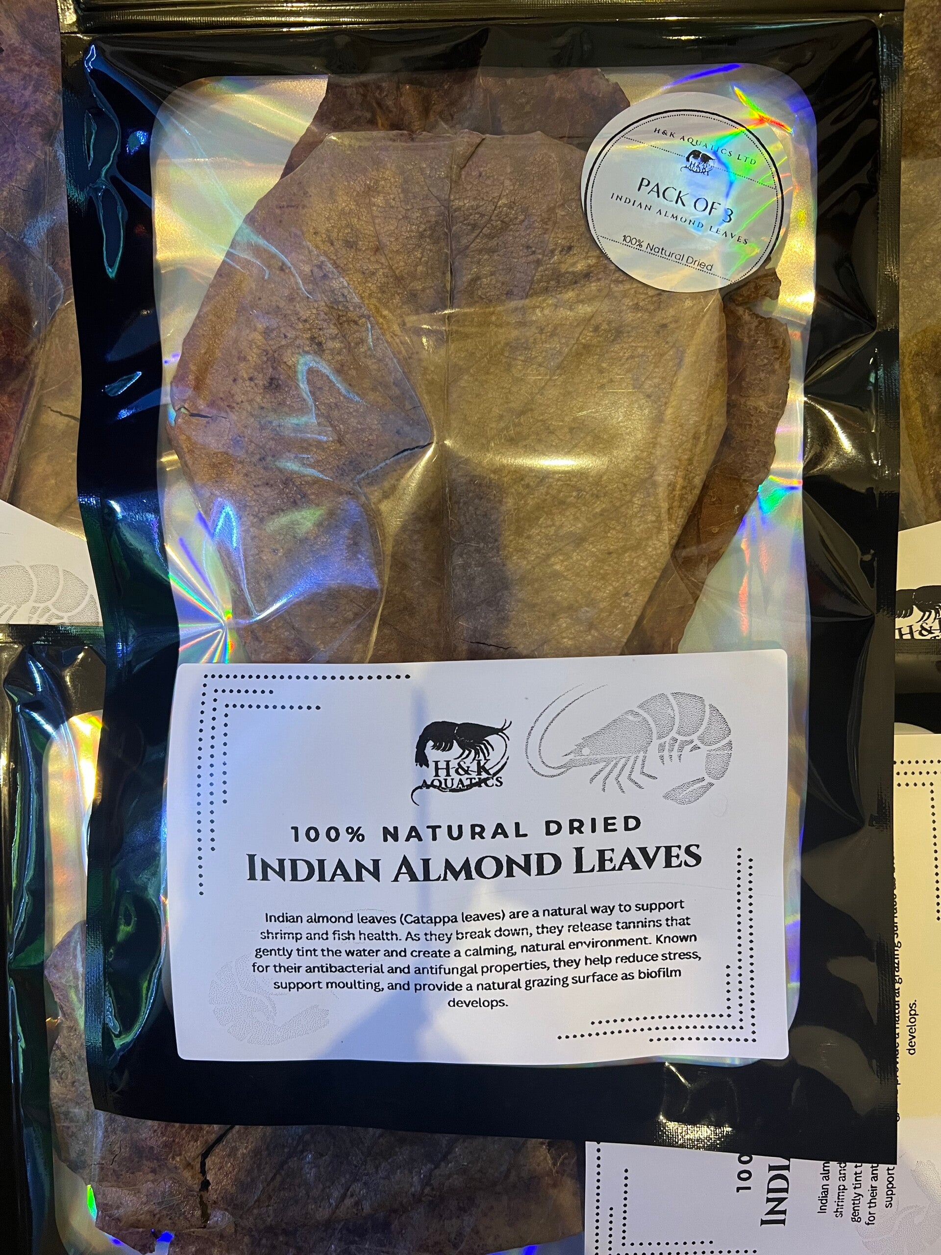 Indian Almond Leaves (Catappa) – Pack of 3 Large Leaves