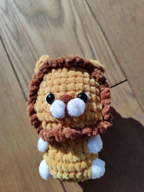 Baby Lion