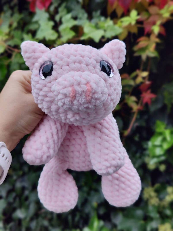 Floppy Pig