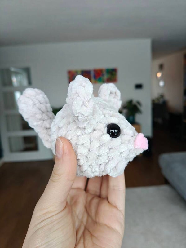 Pippa the Chinchilla
