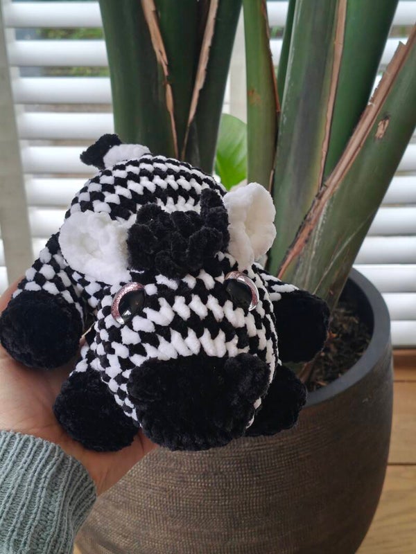 Zola Zebra