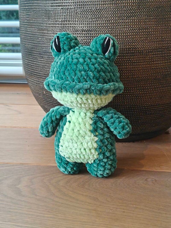 Frog buddy