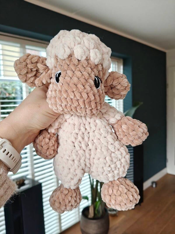 Lola the lamb