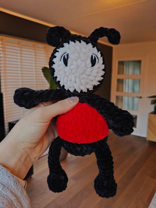 Lola Ladybug