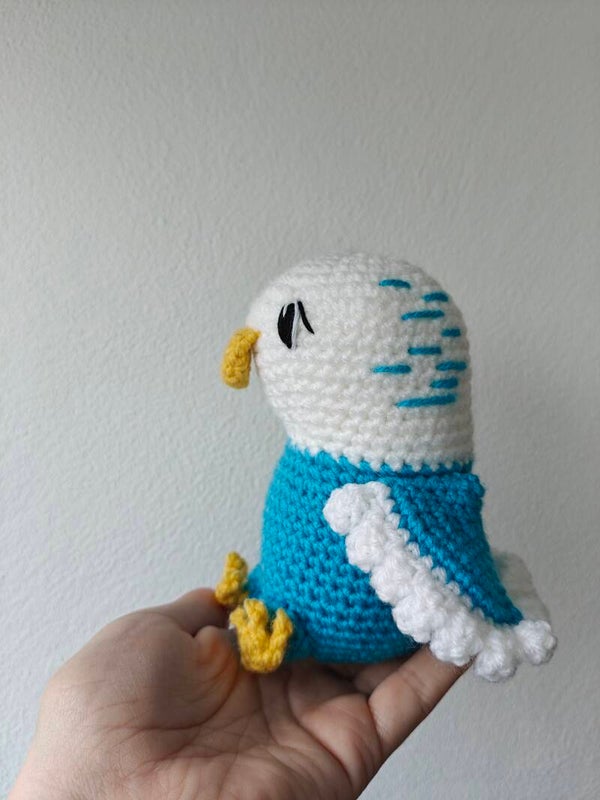 Celeste the budgie