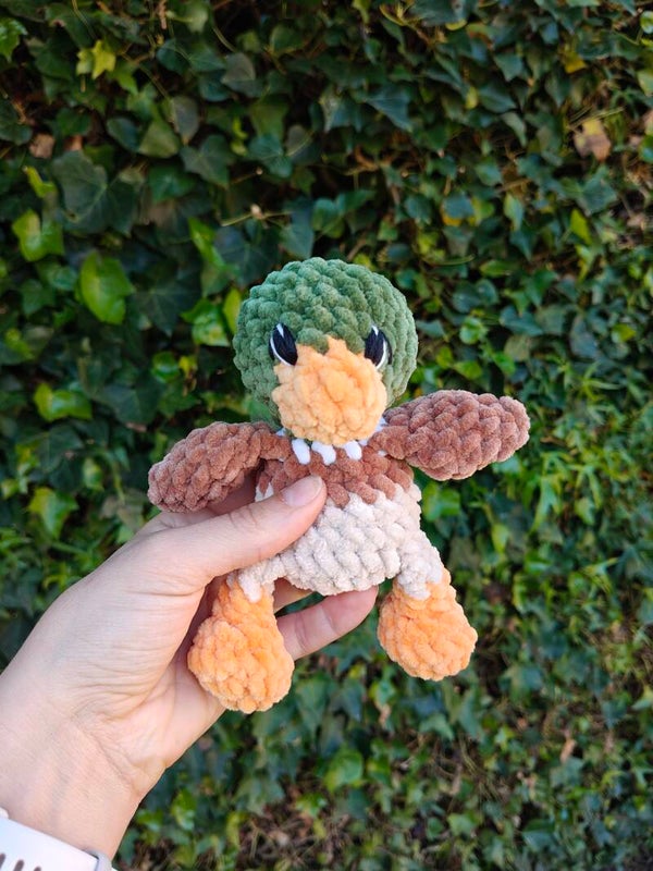 Mallard bub