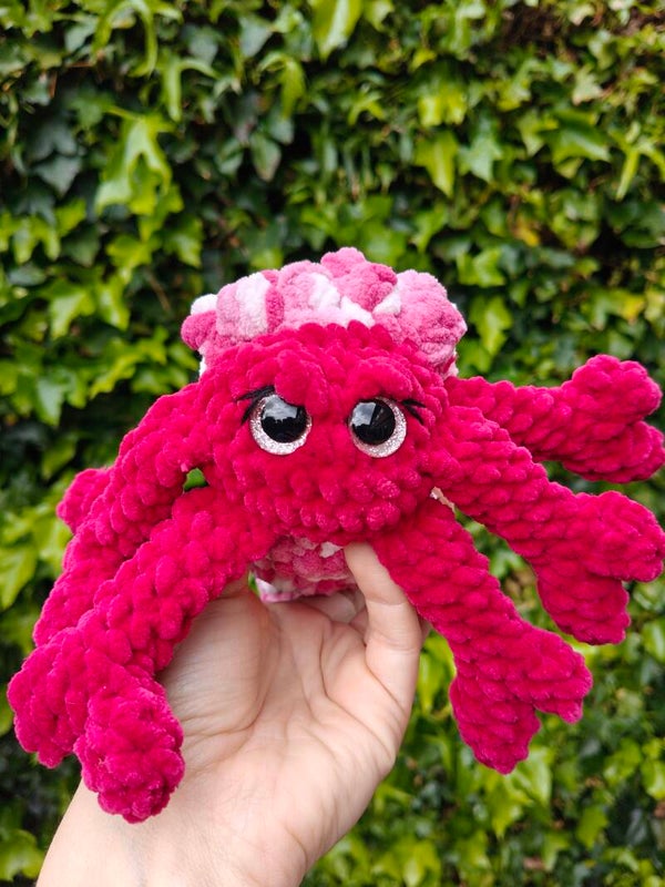 Calyx the Hermit Crab