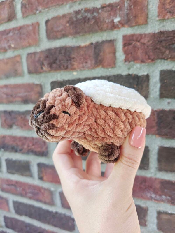 Cinnabara Roll