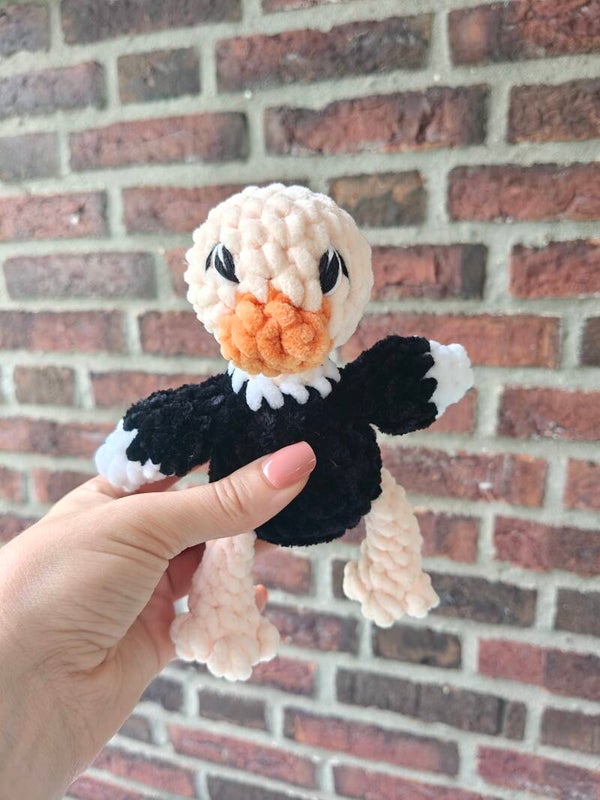 Savanna bub - Ostrich