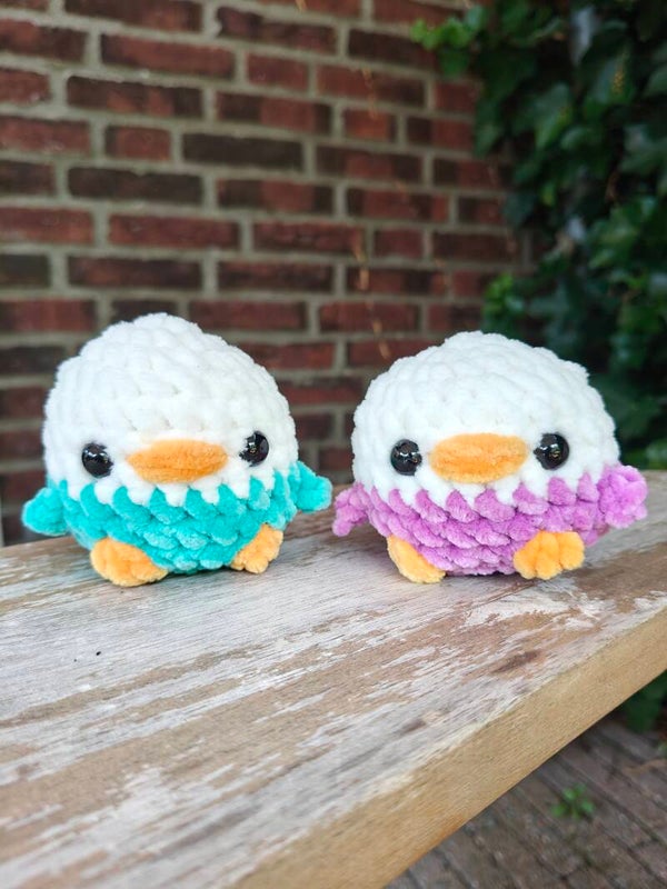 Lovebird