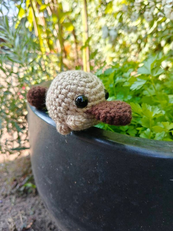 Platypus