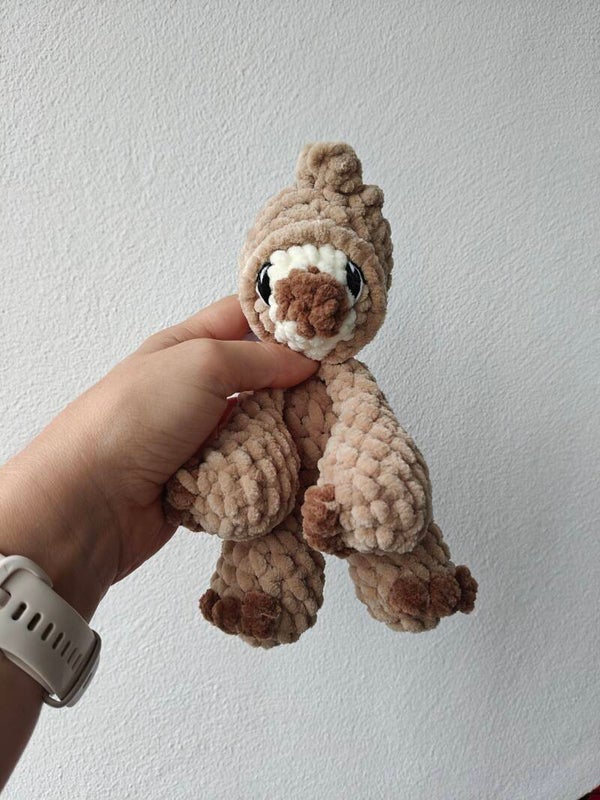 Kid the mini sloth