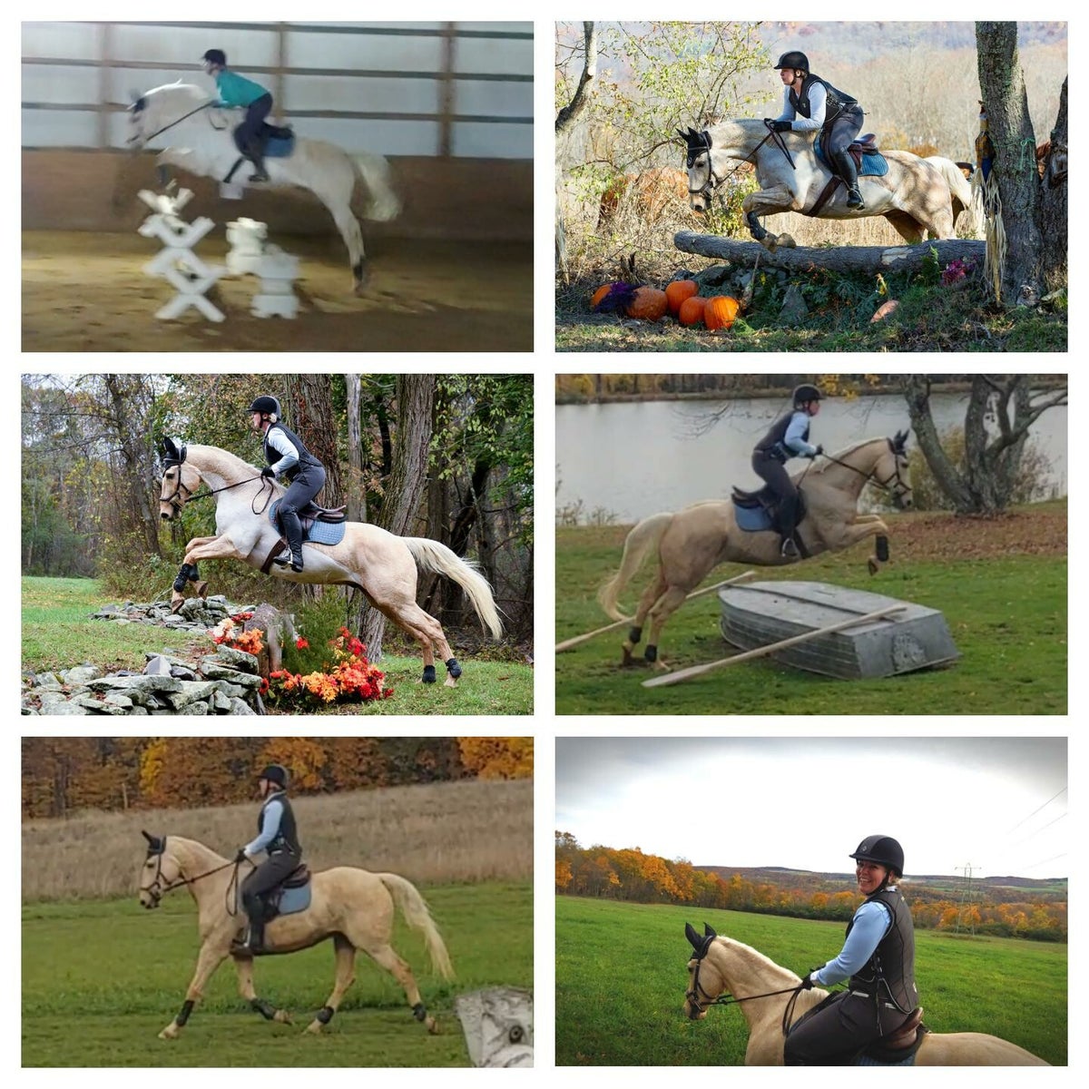 Congratulations new owners! | Horseback Riding with Emily