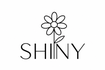 shiny cleaning
