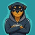 RottieGamerC LLC