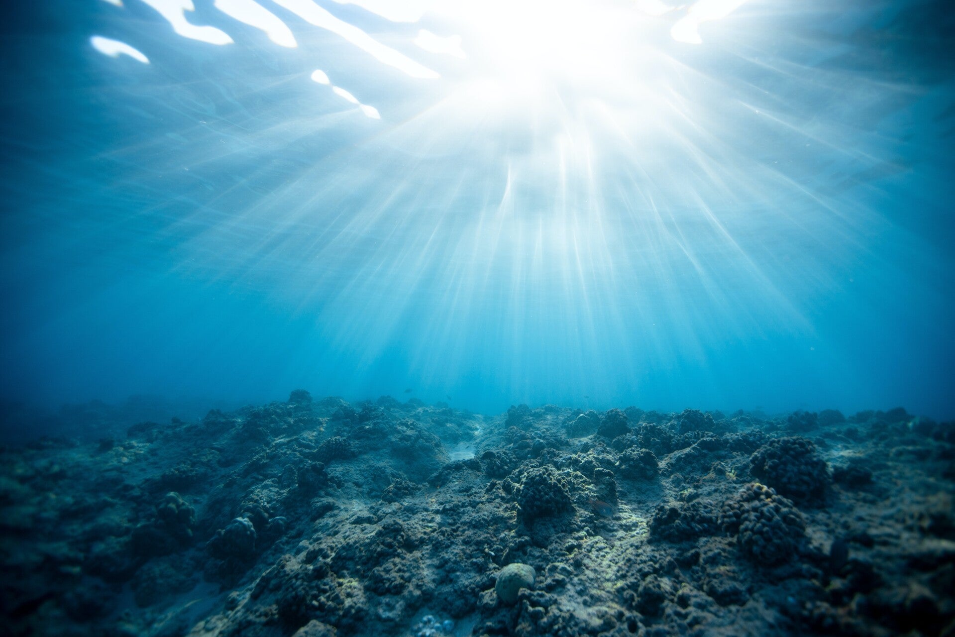 Onderwaterfoto met zonnestralen