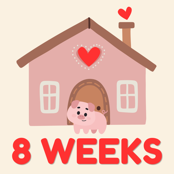 WINTER 8-Weeks THURS 9:30 AM to 10:15 AM