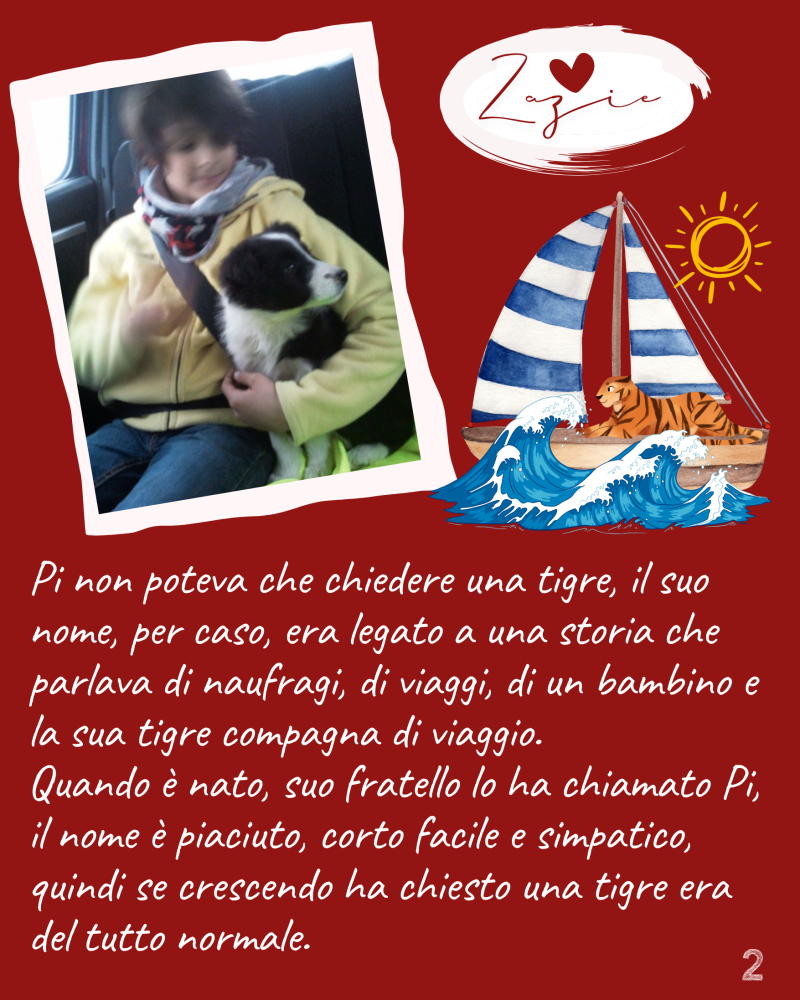 Pi non poteva che chiedere una tigre, il suo nome, per caso, era legato a una storia che parlava di naufragi, di viaggi, di un bambino e la sua tigre compagna di viaggio.  Quando è nato, suo fratello lo ha chiamato Pi, il nome è piaciuto, corto facile