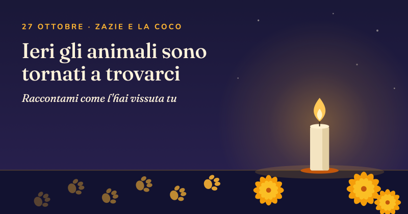 Una candela accesa di notte, con le orme di una zampa che camminano verso la luce e fiori arancioni di cempasúchil.