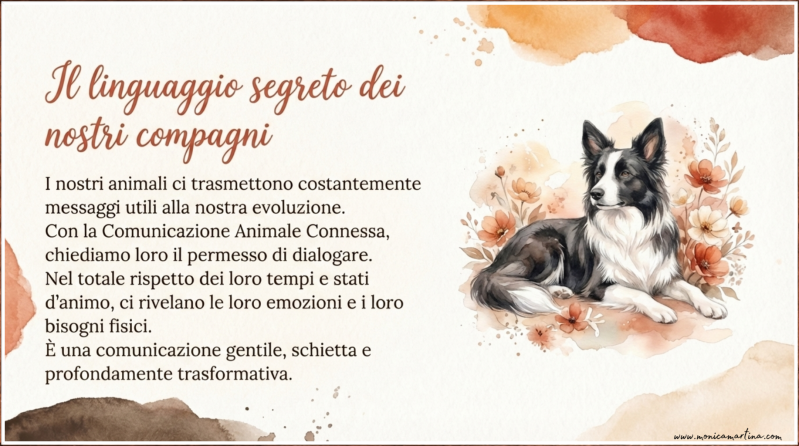 Pet Communication - Comunicazione connessa per animali Zazie