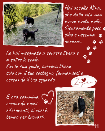 Le hai insegnato a correre libera e a salire le scale. Eri la sua guida, correva libera solo con il tuo sostegno, fermandosi e cercando il tuo sguardo.