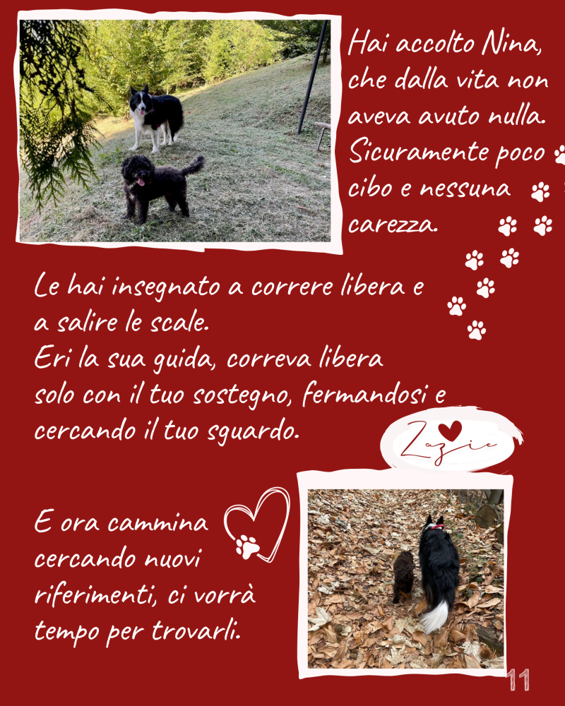 Le hai insegnato a correre libera e  a salire le scale.  Eri la sua guida, correva libera  solo con il tuo sostegno, fermandosi e cercando il tuo sguardo. 