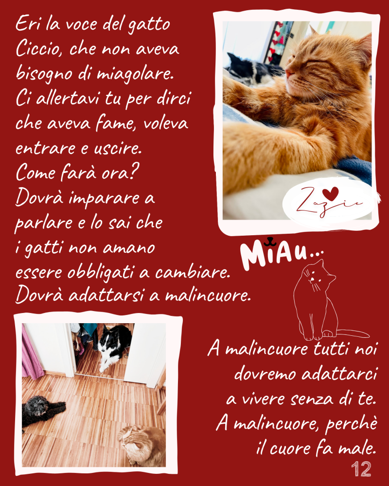 Eri la voce del gatto  Ciccio, che non aveva bisogno di miagolare.  Ci allertavi tu per dirci  che aveva fame, voleva entrare e uscire.  Dovrà imparare a  parlare e lo sai che  i gatti non amano  essere obbligati a cambiare. 