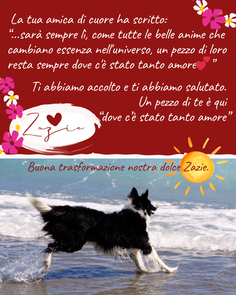 “…sarà sempre lì, come tutte le belle anime che cambiano essenza nell'universo, un pezzo di loro resta sempre dove c'è stato tanto amore💕” Ti abbiamo accolto e ti abbiamo salutato. Un pezzo di te è qui “dove c’è stato tanto amore”