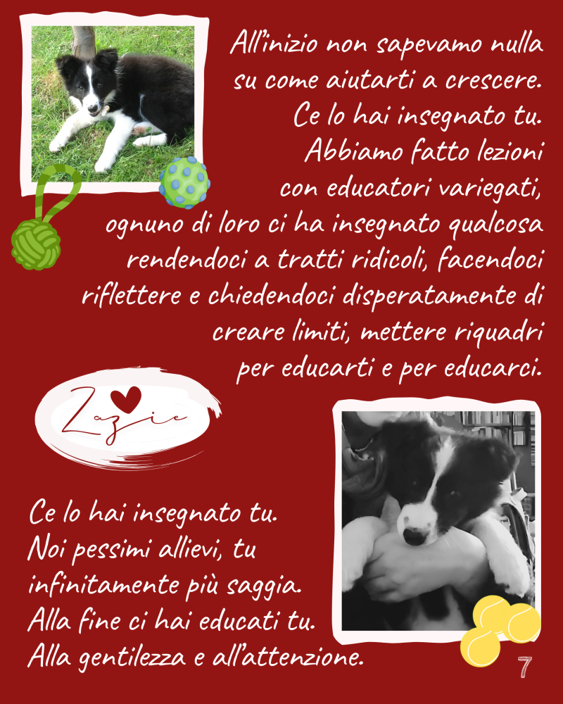 Abbiamo fatto lezioni con educatori variegati, ognuno di loro ci ha insegnato qualcosa rendendoci a tratti ridicoli, facendoci riflettere e chiedendoci disperatamente di creare limiti, mettere riquadri per educarti e per educarci.