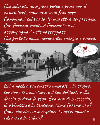 Hai adorato mangiare pesce e pane con il camembert, come una vera francese. Camminavi sul bordo dei muretti e dei precipizi. Con fierezza scrutavi l’orizzonte e ci accompagnavi nelle passeggiate. Hai portato gioia, movimento, energia e amore.