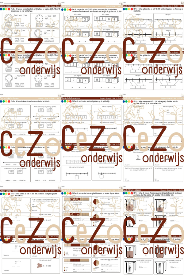 Bundel Check-tickets - Groep 6 - PLUSPUNT - Instap t/m blok 10 - 4.1