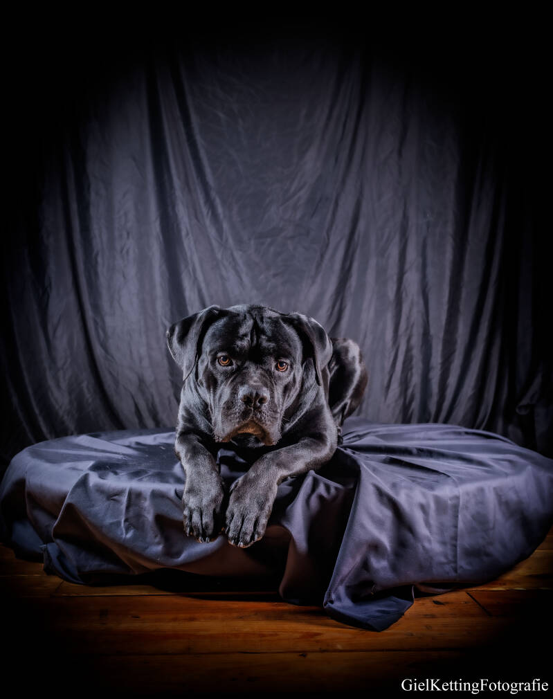 judah-_g0a8632-standard.jpg