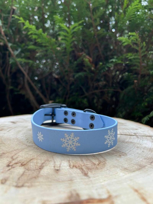 Collier winter Snow