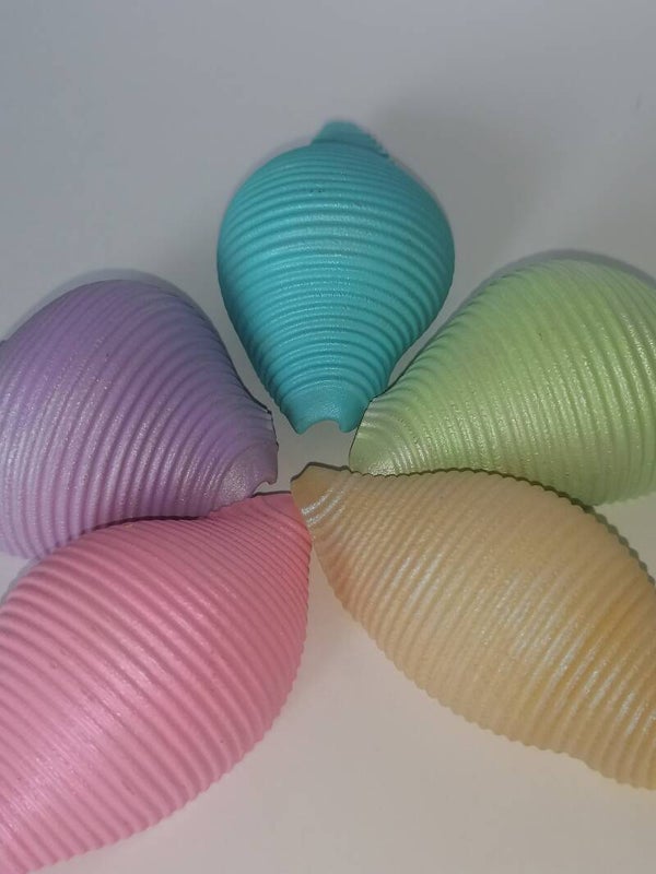 Grote pasta schelpen pastel