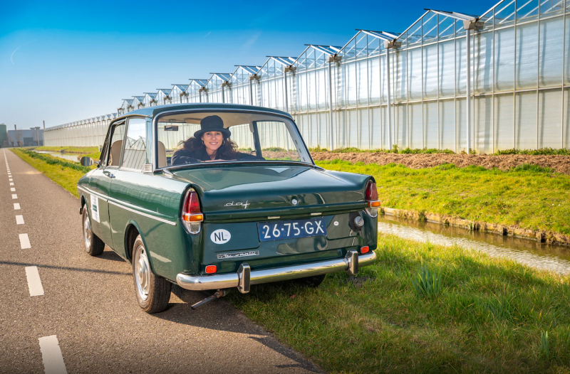 DAF oldtimer in Westland het tuinbouw gebied met kassenbouw