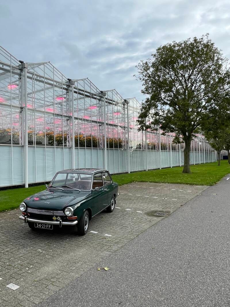 DAF oldtimer in Westland het tuinbouw gebied met kassenbouw