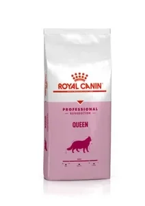 FTHN Repro Queen 34 10kg